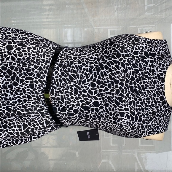 Fit & Flare Belted Dress - Picture 2 of 4